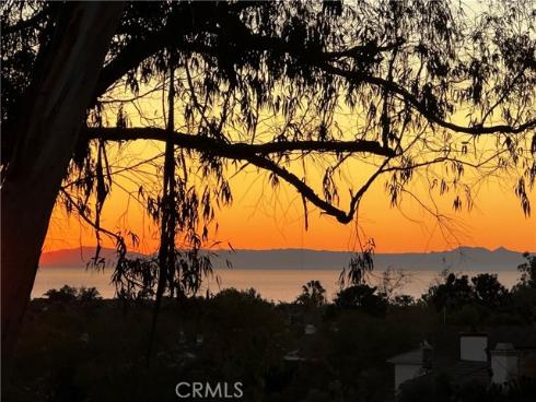 25091  Danapepper  , Dana Point, CA