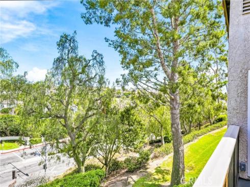 24 Corniche G , Dana Point, CA