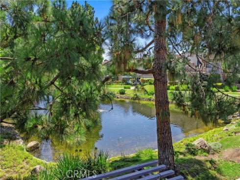 26972 Mill Pond 30 Road, Dana Point, CA