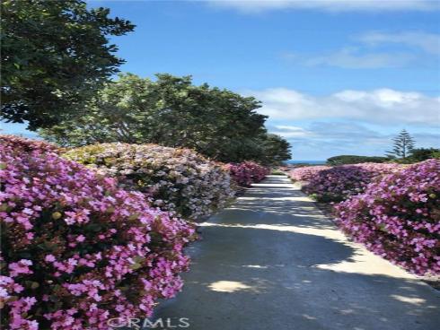 33761 Magellan , Dana Point, CA