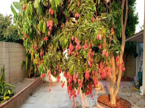 9715 Raven Circle, Fountain Valley, CA