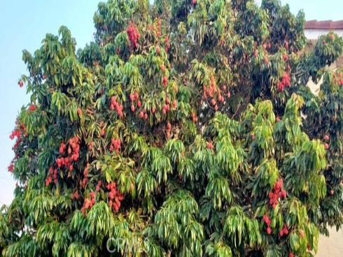 9715 Raven Circle, Fountain Valley, CA