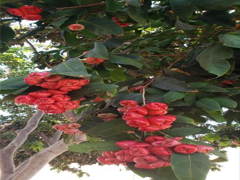 9715 Raven Circle, Fountain Valley, CA