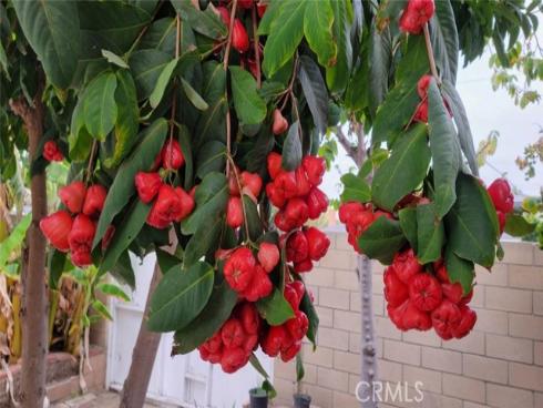 9715 Raven Circle, Fountain Valley, CA