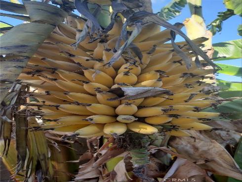 9715 Raven Circle, Fountain Valley, CA