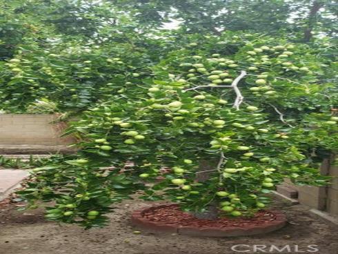 9715 Raven Circle, Fountain Valley, CA