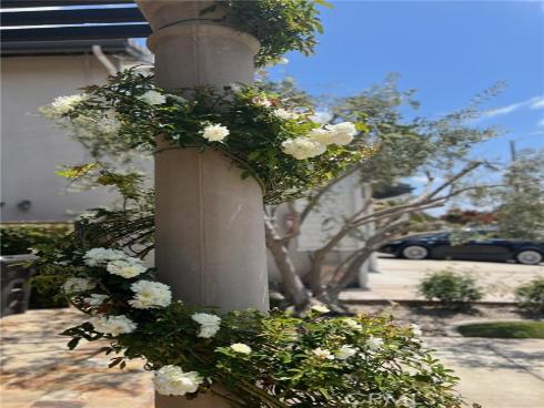 9307  Lily   Avenue, Fountain Valley, CA