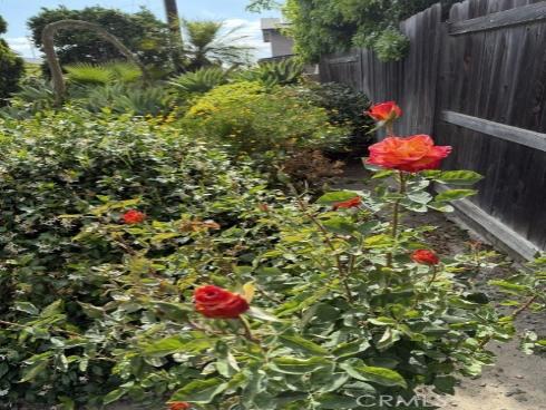 16643 Silktree St , Fountain Valley, CA
