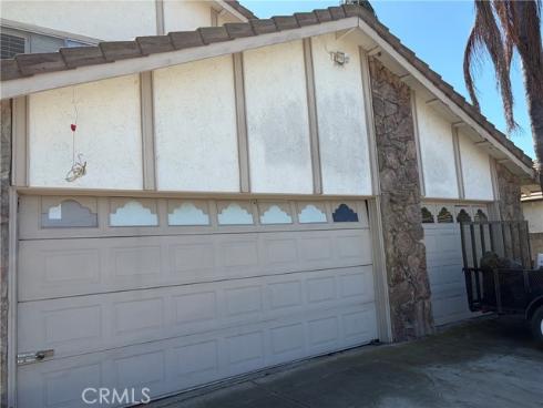 11824 Purslane