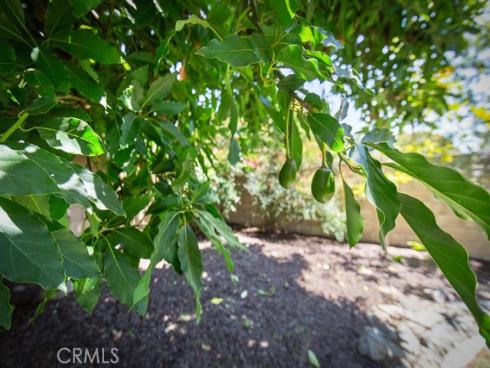 9673 Nightingale Avenue, Fountain Valley, CA