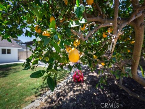 9673 Nightingale Avenue, Fountain Valley, CA