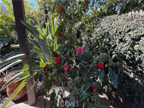 231  Marigold   Avenue, Fullerton, CA