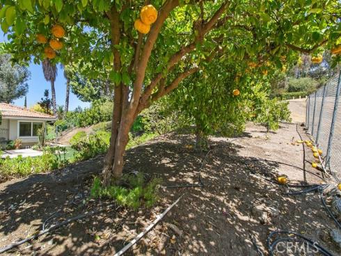 2128 Smokewood Avenue, Fullerton, CA