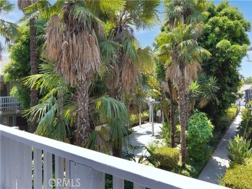 313 N Acacia C Avenue, Fullerton, CA