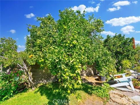 1425 W Woodcrest   Avenue, Fullerton, CA