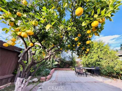 309 N Orange Avenue, Fullerton, CA