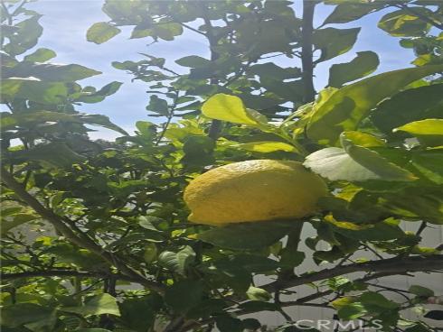 761  Ocean View  , Fullerton, CA