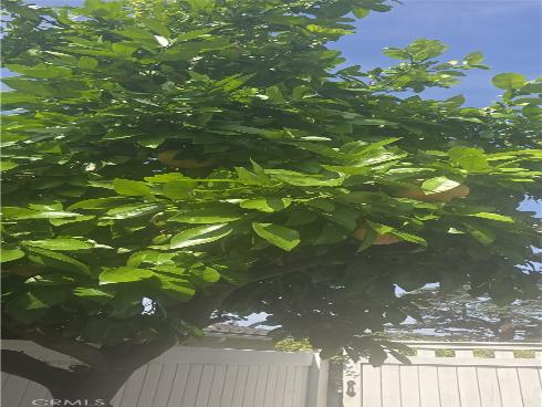 761  Ocean View  , Fullerton, CA