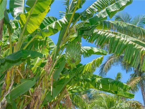 8922 Tracy Avenue, Garden Grove, CA