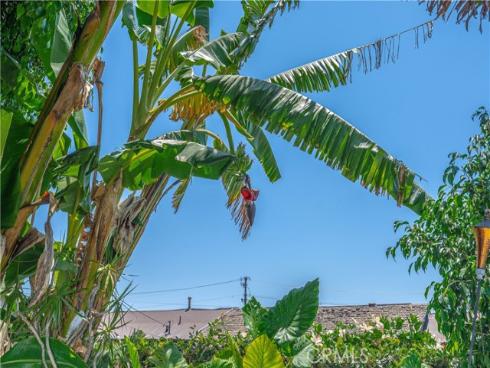 8922 Tracy Avenue, Garden Grove, CA