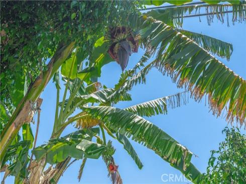 8922 Tracy Avenue, Garden Grove, CA