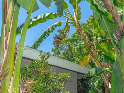 8922 Tracy Avenue, Garden Grove, CA