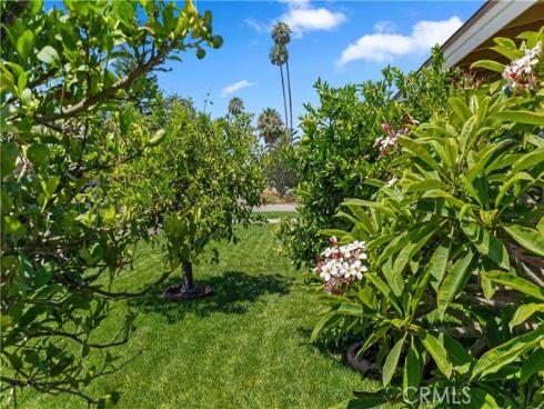 9901  Royal Palm   Boulevard, Garden Grove, CA