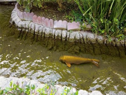 10601 Lakeside Dr 244 , Garden Grove, CA