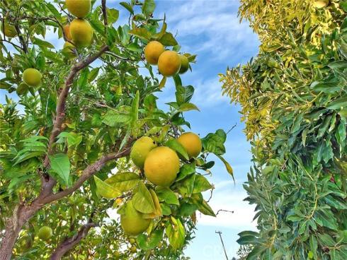 12711  Tunstall  , Garden Grove, CA