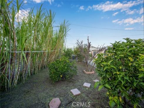 11721  Palmwood   Drive, Garden Grove, CA