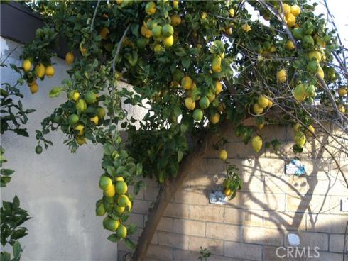 13181  Ferndale Dr  , Garden Grove, CA