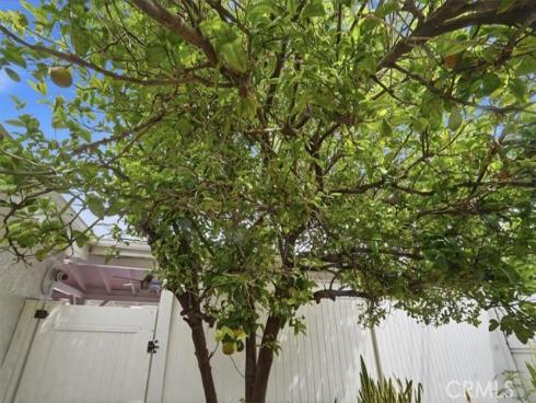 11222  Wakefield  , Garden Grove, CA