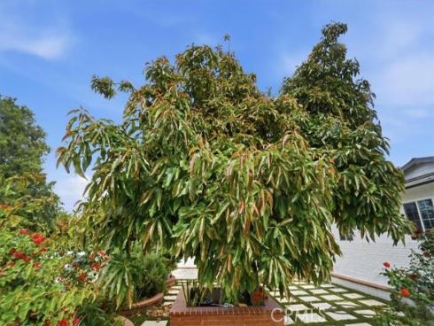 11222  Wakefield  , Garden Grove, CA