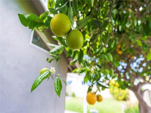 7041 Heil Avenue, Huntington Beach, CA