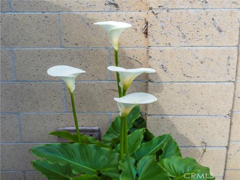 7041 Heil Avenue, Huntington Beach, CA