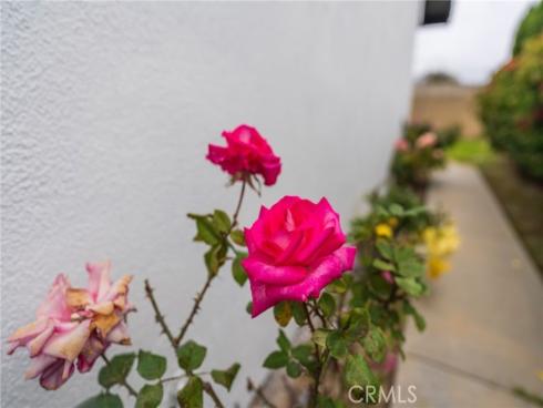 21122 Amberwick Lane, Huntington Beach, CA