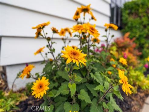 21122 Amberwick Lane, Huntington Beach, CA