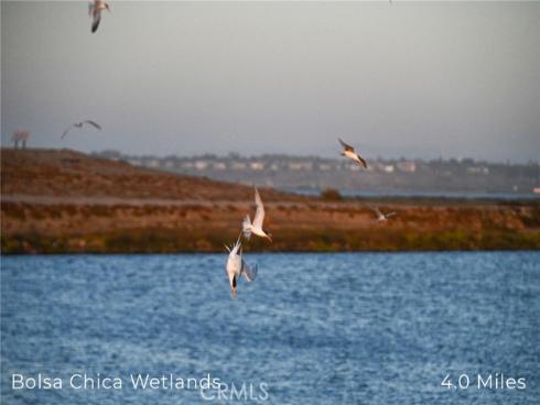 414  Main  430  Street, Huntington Beach, CA