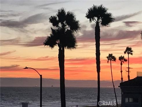 2000 Pacific Coast Highway 313