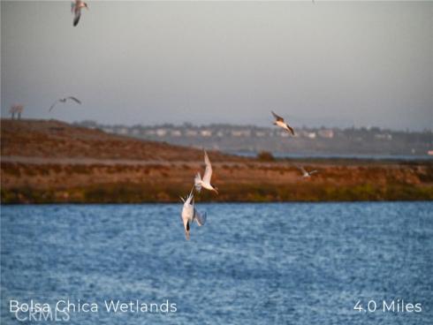 414  Main  400 , Huntington Beach, CA