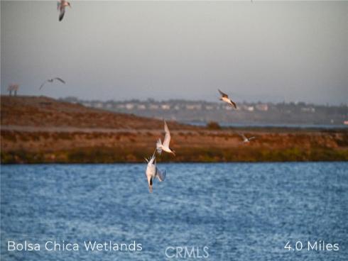 414 Main 420 Street, Huntington Beach, CA