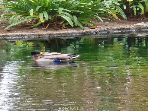 4861  Lago  206 , Huntington Beach, CA