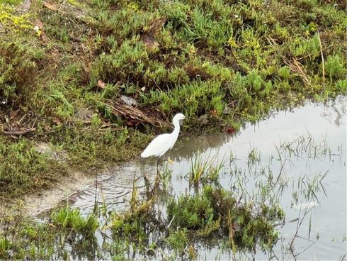 3408  Sparkler  , Huntington Beach, CA