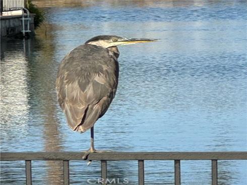 3408  Sparkler  , Huntington Beach, CA