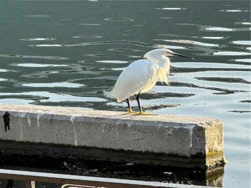 3408  Sparkler  , Huntington Beach, CA