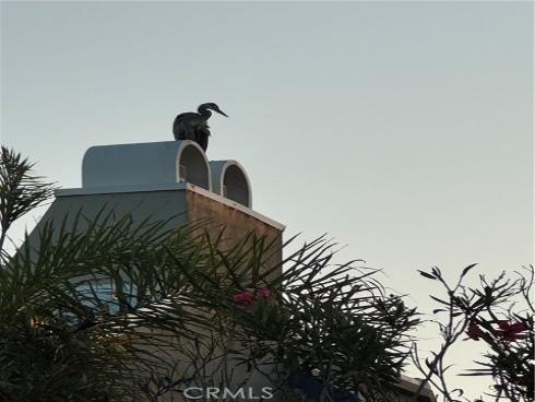 3408  Sparkler  , Huntington Beach, CA