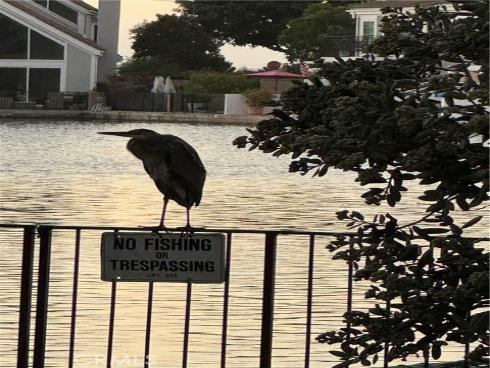 3408  Sparkler  , Huntington Beach, CA