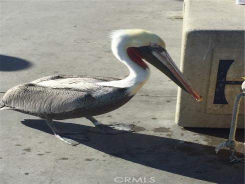 3408  Sparkler  , Huntington Beach, CA