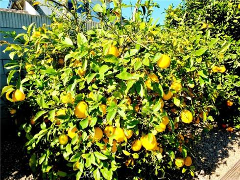 16771 Glenhaven , Huntington Beach, CA