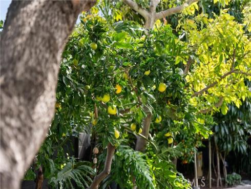 20442  Harbor Isle   Lane, Huntington Beach, CA